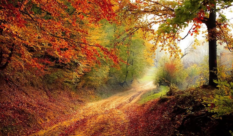 Road to Personal Growth